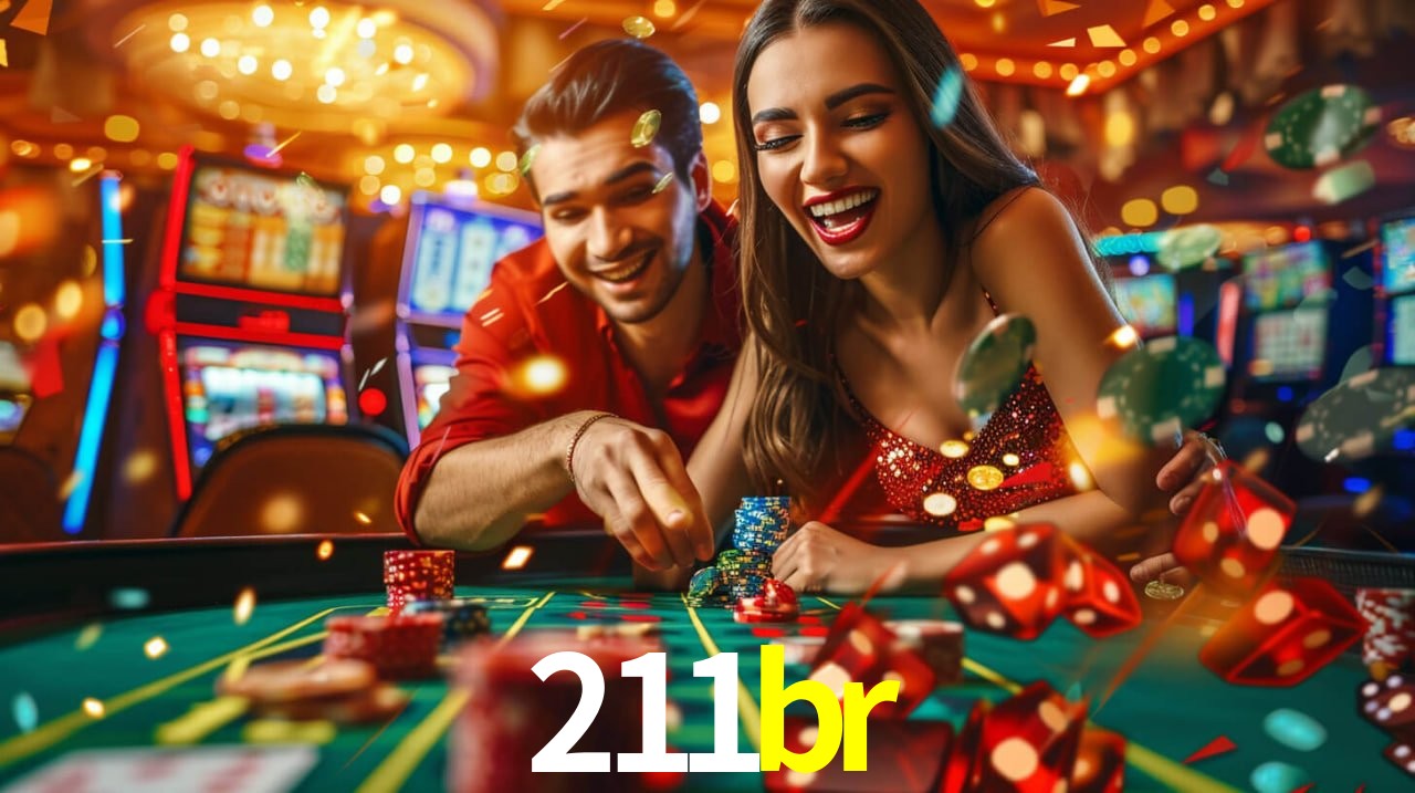 211br - Customer Support